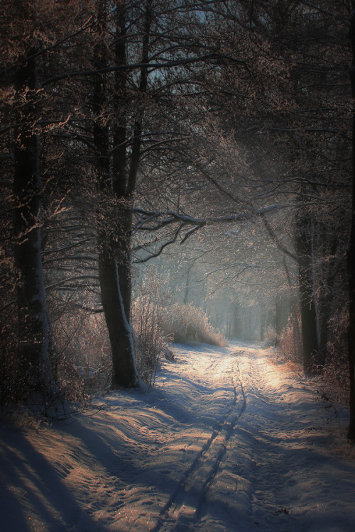 XXX cattie-of-godsgirls:  Looks like a fairytale photo