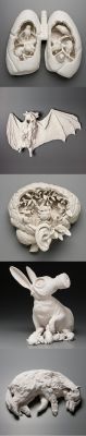   Porcelain Sculptures by Kate MacDowell