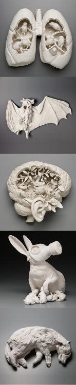   Porcelain Sculptures by Kate MacDowell  http://www.artskills.net/2012/03/27/kate-mac-dowell/ 