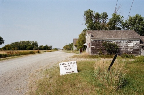 goldenprairies:ghost towns that sell honeyThat’s not an offer for sale. That’s a request.Even the ol