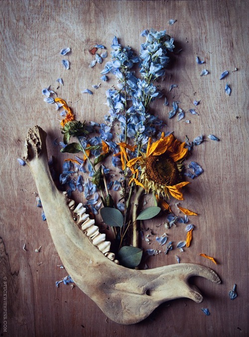 pagans-dream:Fuck Yeah Paganism | via Tumblr on We Heart It.