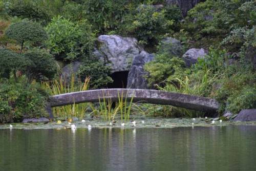 Japanese Bridges “Depending upon the size and nature of the pond, gardens that include bodies 