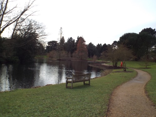 Research - Trip to Kew Gardens, looking for inspiration for the menagerie and glass domes in which L