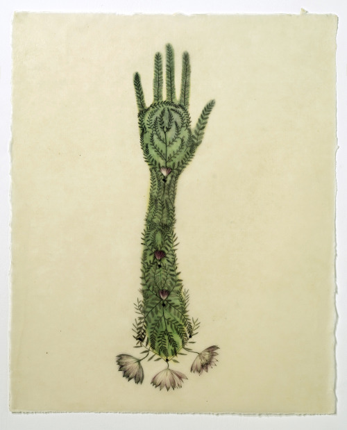 itscolossal:Plants Embedded in Wax Sprout from Fragile Hands in Memory-Infused Works by Valerie Hamm