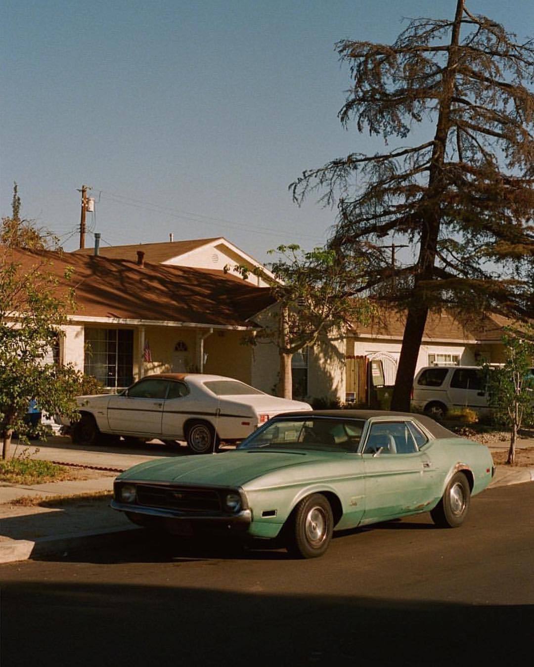 electricwest:the valley 🌲 by @phdonohue #35mm #film
