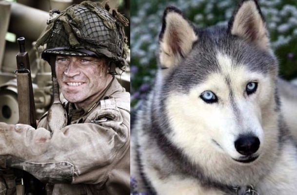 neverbelikeyoume:  Easy Company as dogs, because they are all a bunch of puppies