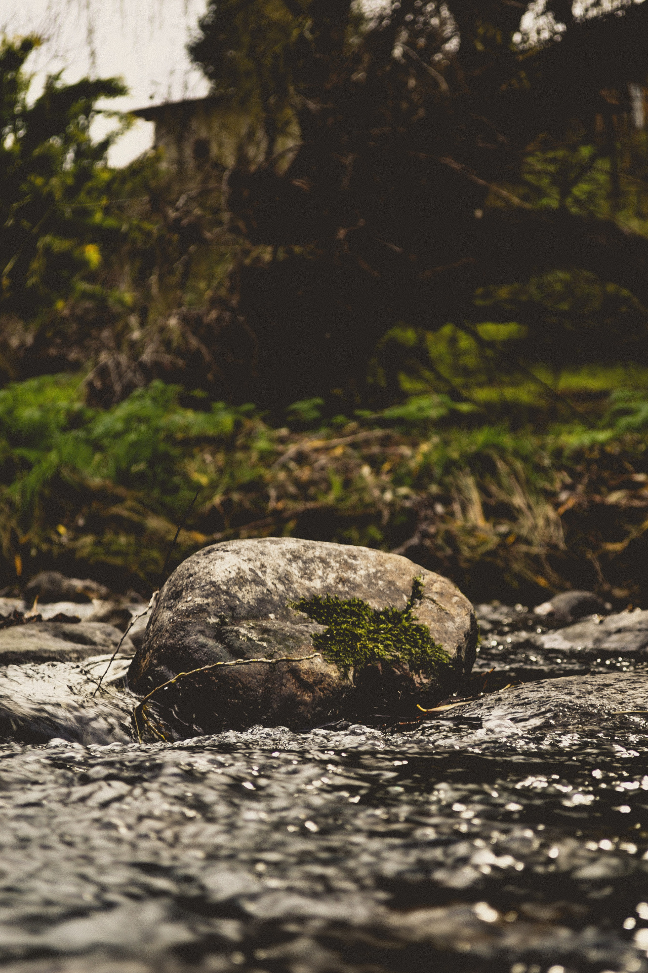 matialonsorphoto:  I always followed the same direction by matialonsor 