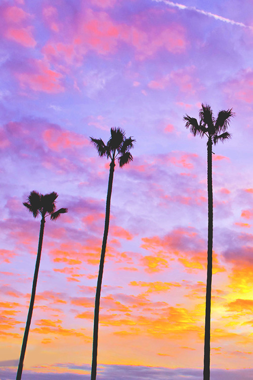 wearevanity:  Painted Skies 