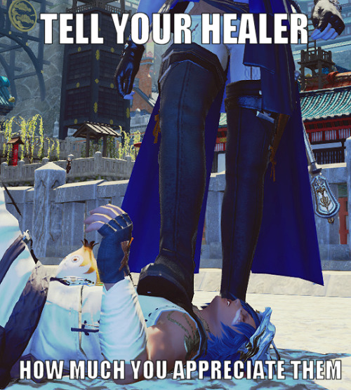 ishgardianskypirate: I keep making memes of my raid group’s healer and this one is the best ye