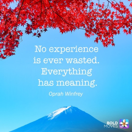 No experience is ever wasted. Everything has meaning.