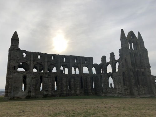 Visiting Whitby Abbey a few weekends ago, worth the famous 200 steps to get there for the wonderful 