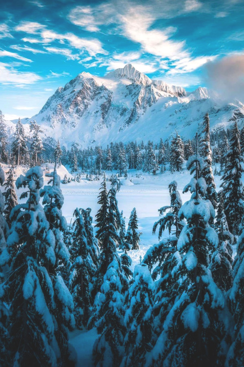 lsleofskye: Alpine Wonderland| calibreusLocation: Mt. Baker-Snoqualmie National Forest, Washington, 