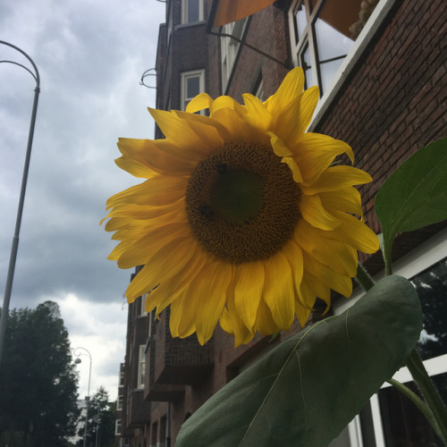 I got sunshine on a cloudy day! When it’s cold outside, I got the month of … August … 