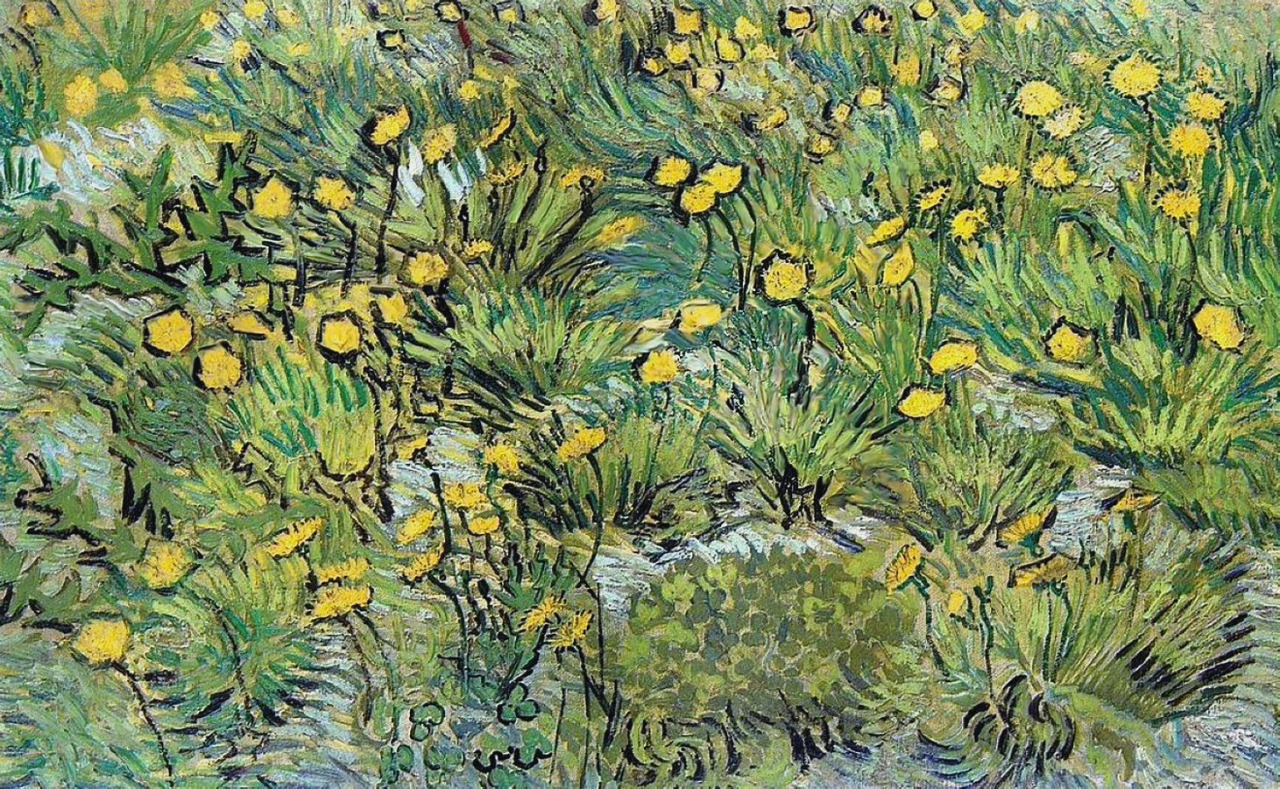 dappledwithshadow: Vincent van Gogh 