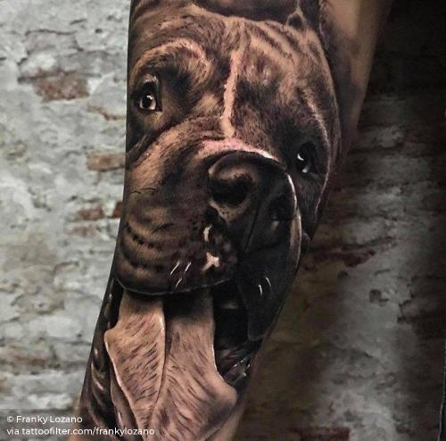 By Franky Lozano, done in Valencia. http://ttoo.co/p/36145 animal;big;black and grey;dog;facebook;frankylozano;inner forearm;pet;pit bull;portrait;twitter