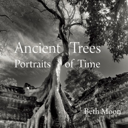 universal3love:maxitendance:  The Most Spectacular Living Monuments of the Earth photographed by Beth Moon    Just magnificent!