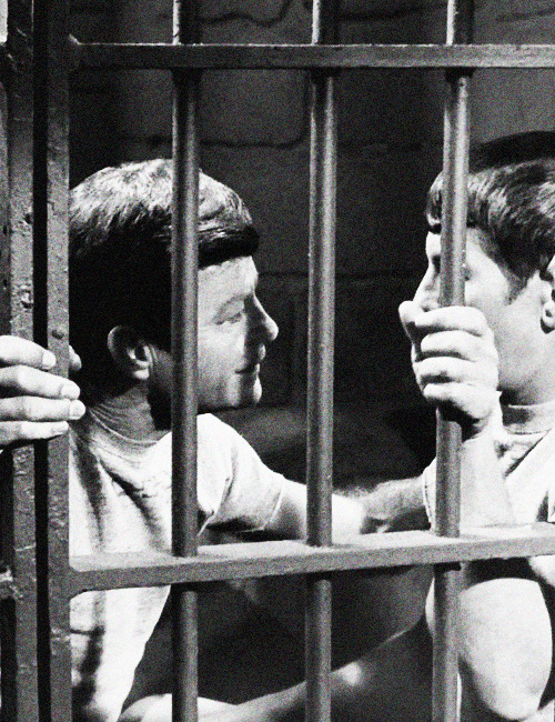 shoresleave: “Please don’t tell Spock I said he was the best first officer in the fleet.