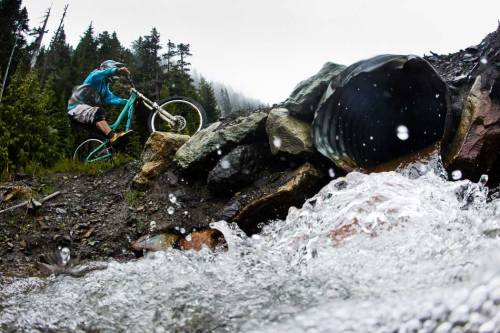 chirosangaku:  Photo of the Day: Dan Barham -November 15, 2013