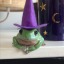 protecterofrogs