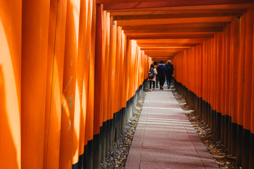 gates of the Fushimi Inari-Taishaby absolutminimum