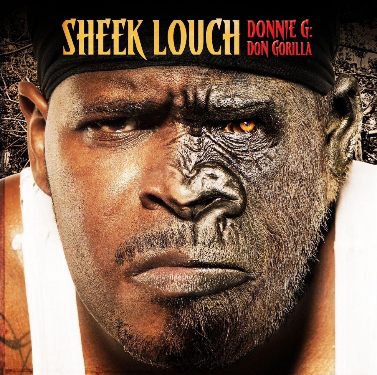 BACK IN THE DAY |12/14/10| Sheek Louch released his fifth solo album, Donnie G: Don