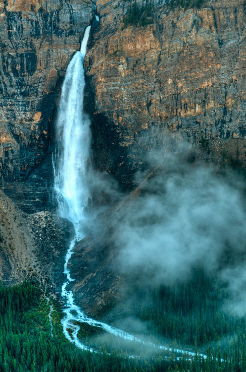 brutalgeneration:  100929_JTSg_5767_h.jpg (by panafoot) 