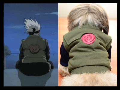 KAKASHI Vest Dog Costume from Naruto – HachiCorp