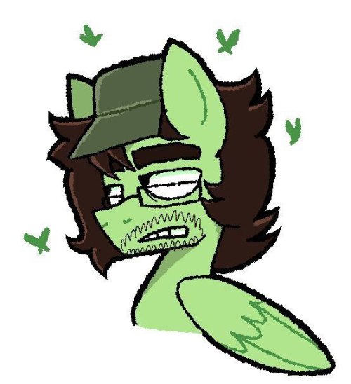 :3 :3 The Best Pony