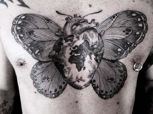 ✿ ♥‿♥ he has difficulties making up his mind between a butterfly, a heart