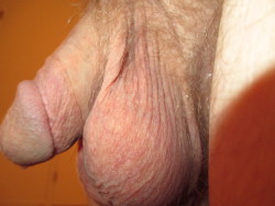 A Close Up Of Cock Styles