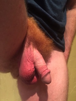 dudeswithpubes:  Holy ginger, look at that bush!