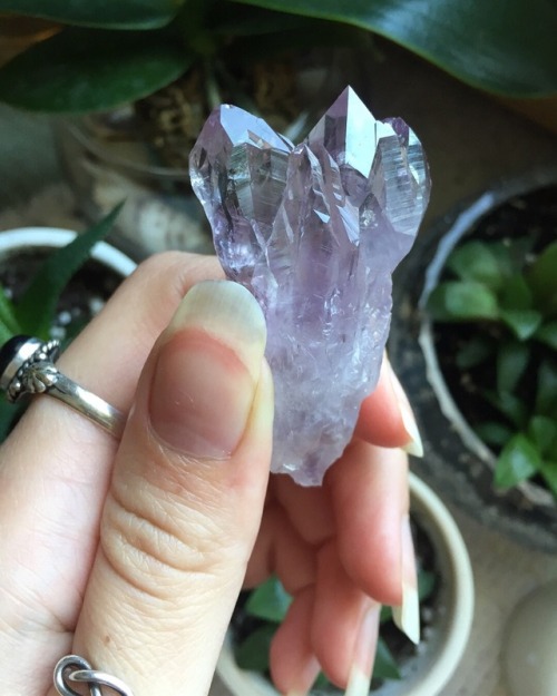 floralwaterwitch - This is one of my absolute favourite amethyst...