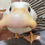 biggoosey05