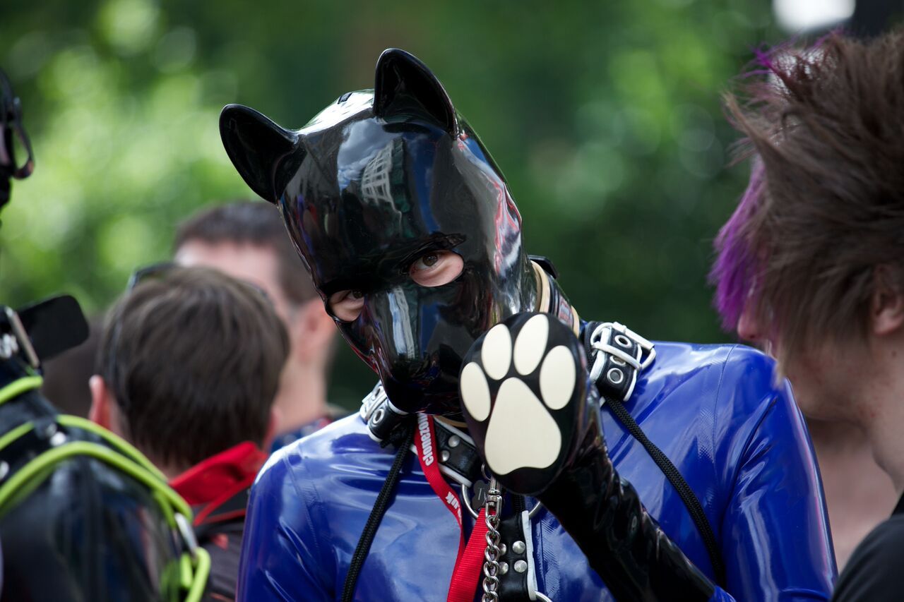 puppiesonladders:  Pups at London Pride 2015. photos by Archimedes Alpha (x2), Charles