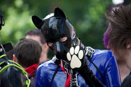 puppiesonladders:  Pups at London Pride 2015. adult photos