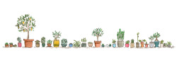 draw-a-city:  Every plant I have in my flat.  Alllll 30 of them :D 