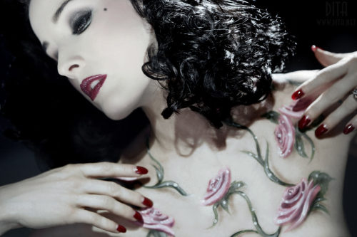 Les Beehive – Dita Von Teese by Sheryl Nields