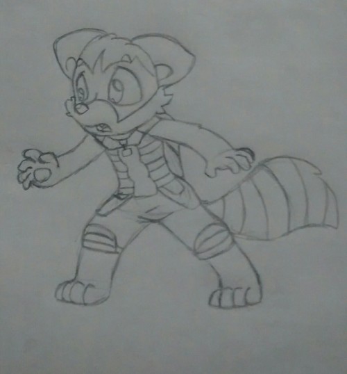 garurus:  Rocket racoon  <3!