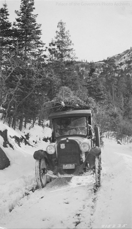 pogphotoarchives: Truck carrying Christmas