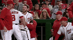 gfbaseball:  Bryce Harper gets ejected, then tells the umpire what he thinks after the walk-off - May 9, 2016 