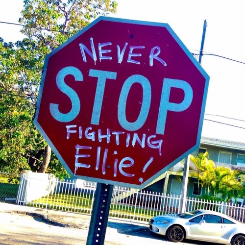 It seems the streets of Miami are getting behind a 24yr old Miami Girl who is in a tough fight. Our money is on YOU Ellie! #ellie4life #graffiti #streetart