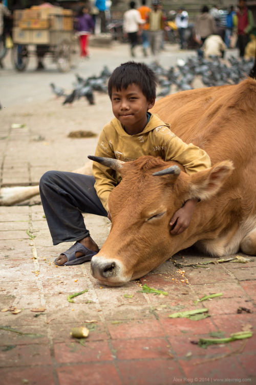 n90pic:  Day eighty-five | Dia vuitanta-cinc “ grace ” | ’ gràcia ‘ Kathmandu. November 2013 © Photography Àlex Reig 2014 