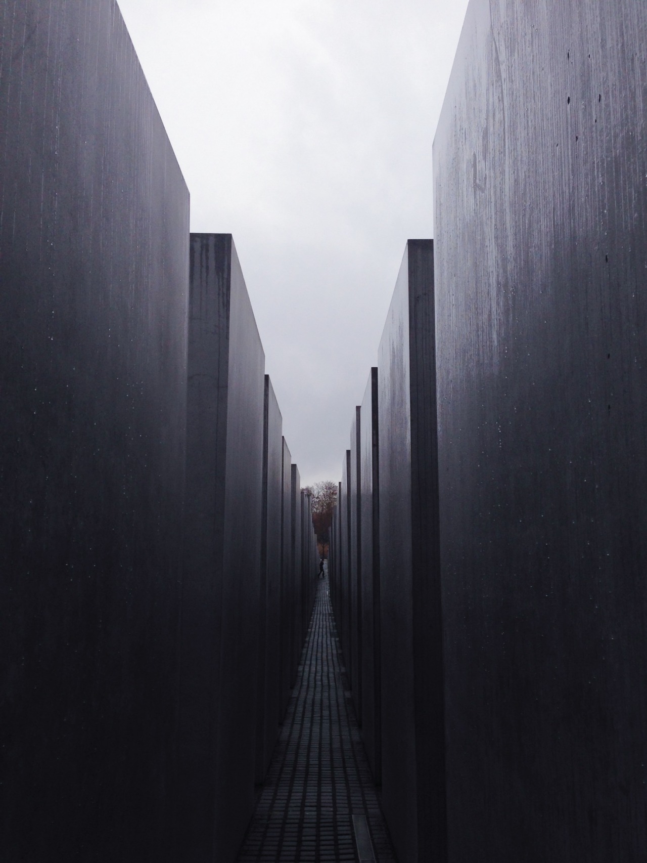 danielodowd:  http://mlco.vsco.co/