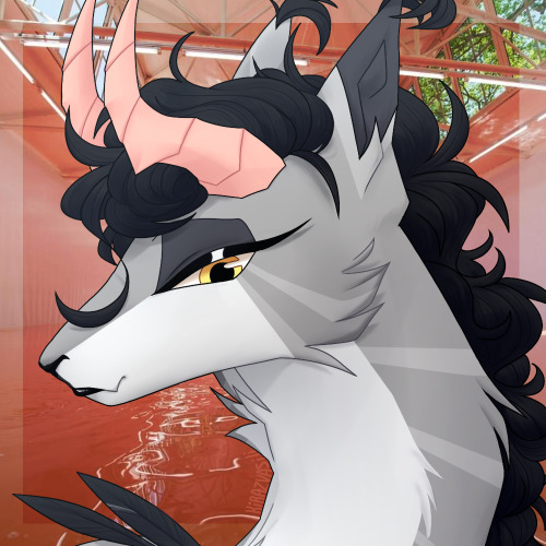 First Year Of ArtFight Yay