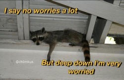 duelwieldingraccoon:my brain knows no peace