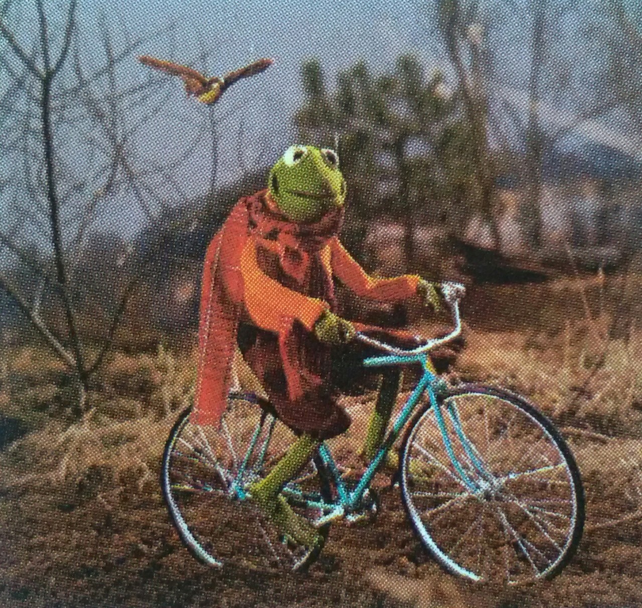 jimhenson-themuppetmaster: Kermit the Frog Bicycle Photos 