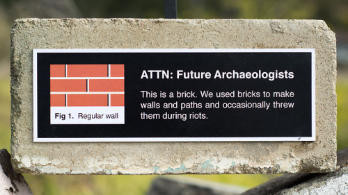 miguelmarquezoutside: Brick