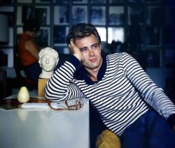 jamesmarilyndeanmonroe:James Dean.