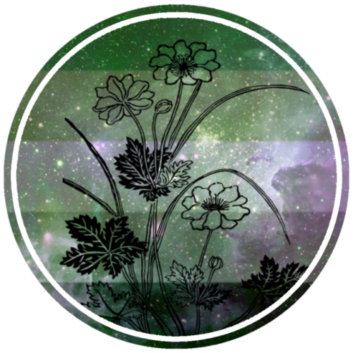 lgbt-aesthetics: ❁Aromantic + Space &amp; Flowers Icons❁~Happy Aromantic Spectrum Awareness Week