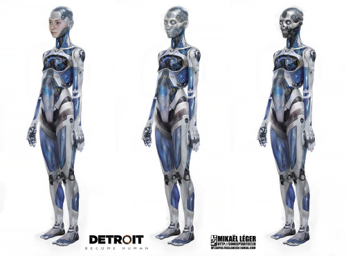 ANDROID ANATOMY
